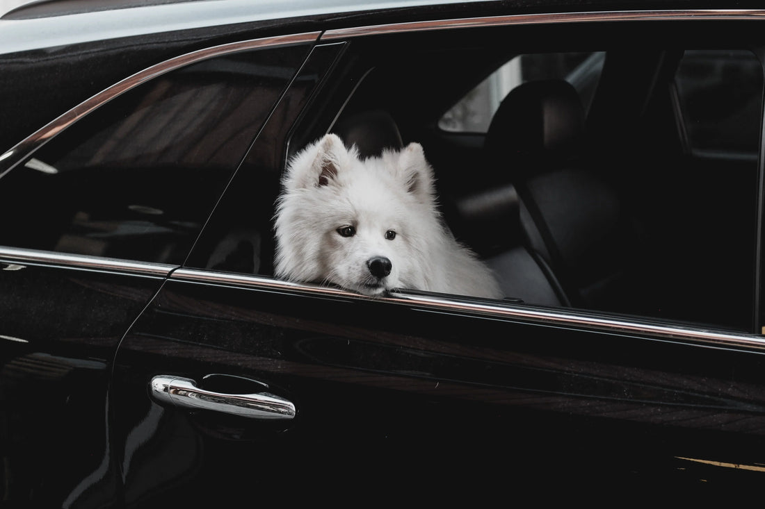 How to Make Car Rides Less Stressful
