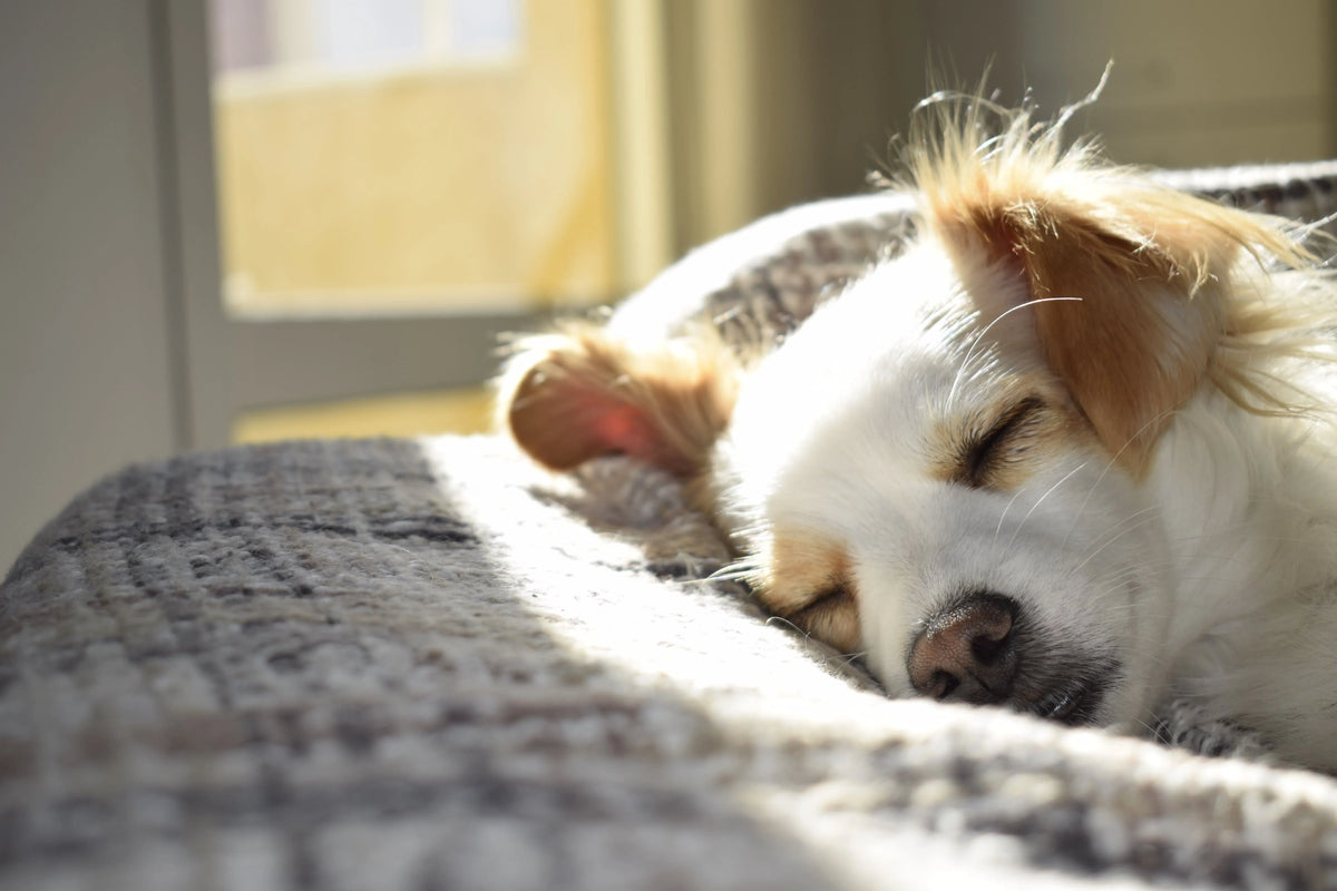Calm & Sleep